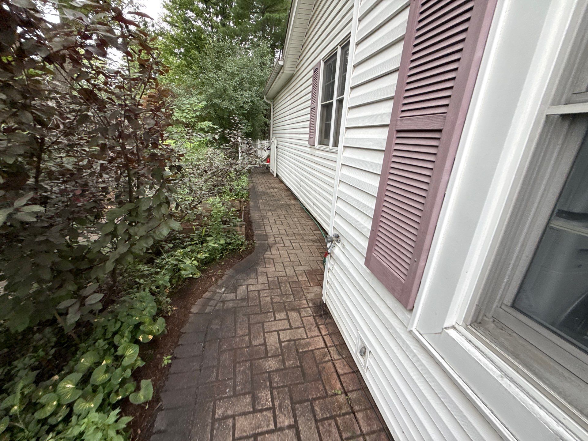 Steven L. - Park Ridge, IL by A&N