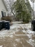 Tree Removal using Tree Removal by Mike Jones & Sons Tree Service LLC 