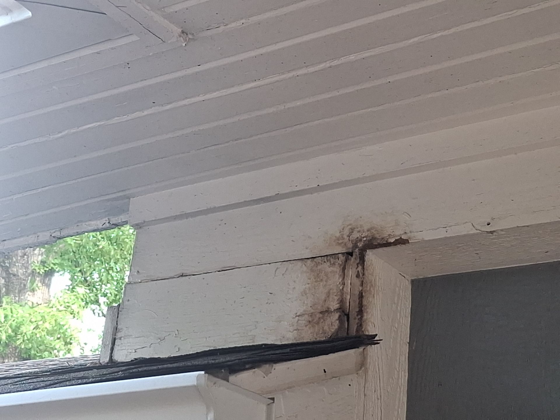 From Gray to Modern White: Exterior Repaint in Tyler, TX by Quality Coats Painting