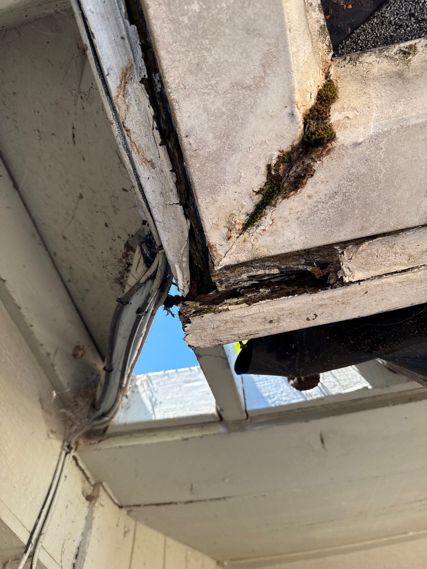 Seatac WA, Roof and Fence Replacement  by Proline Roofing & Restoration LLC