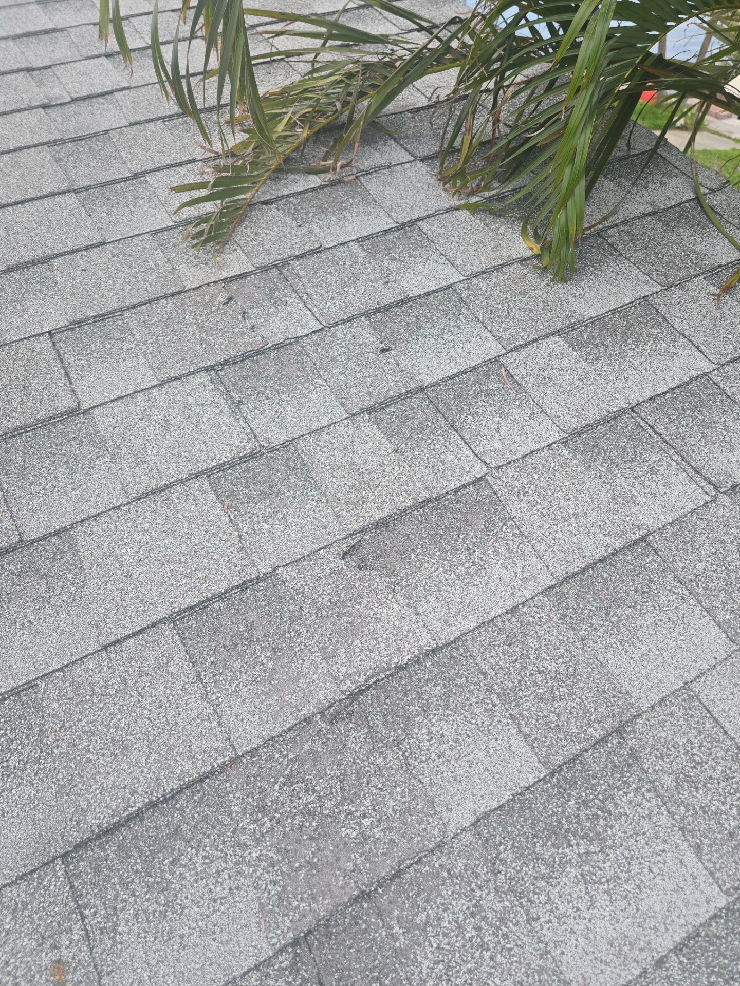 Project in St. Petersburg 33712 by Mitchell Roofing Company LLC 