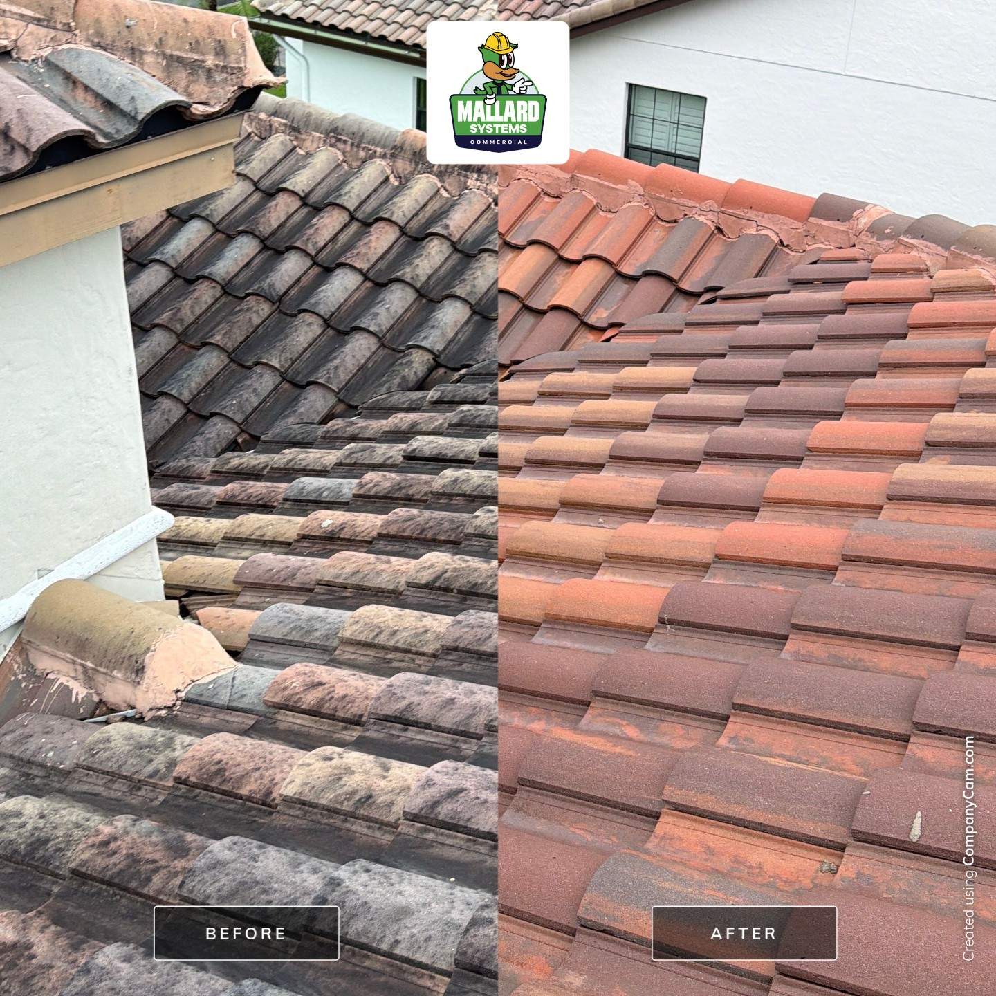 Residential Tile Roof Cleaning in Windermere by Mallard Systems
