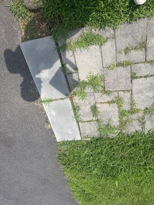 Gutter Cleaning in Wharton, NJ — Gallo Bros job photo