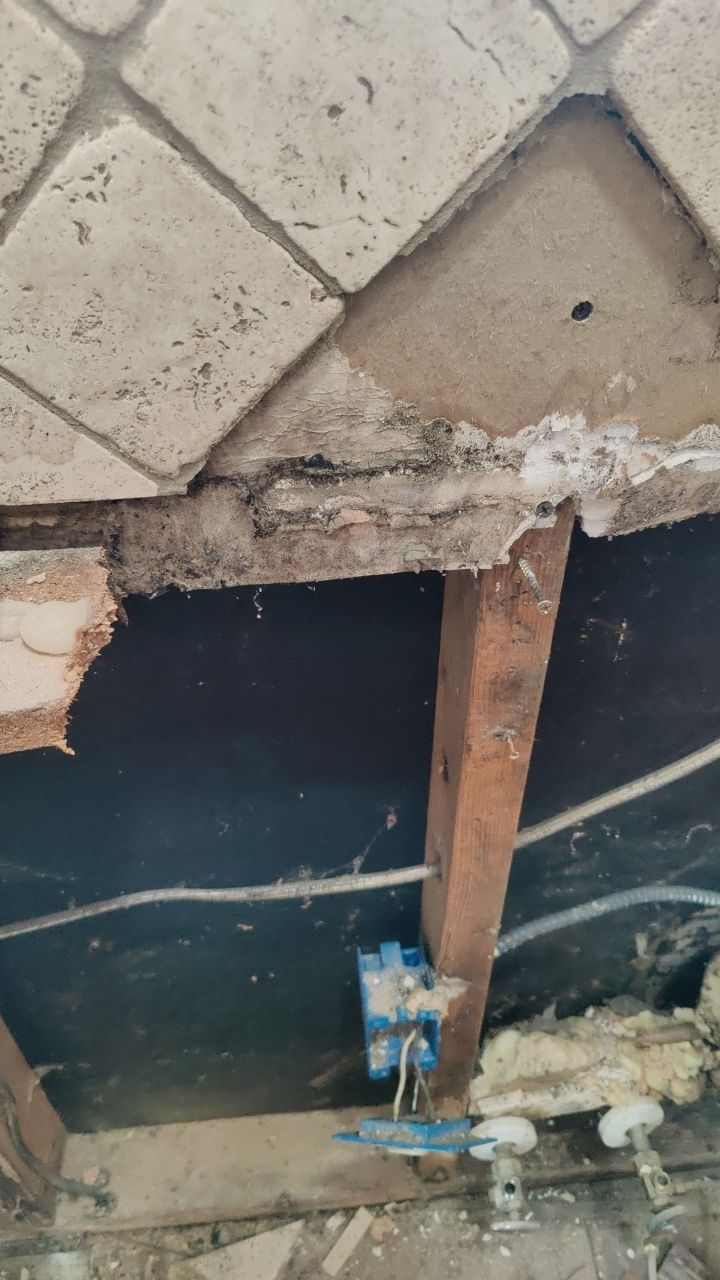 Mold Damage by Accountable Home Services