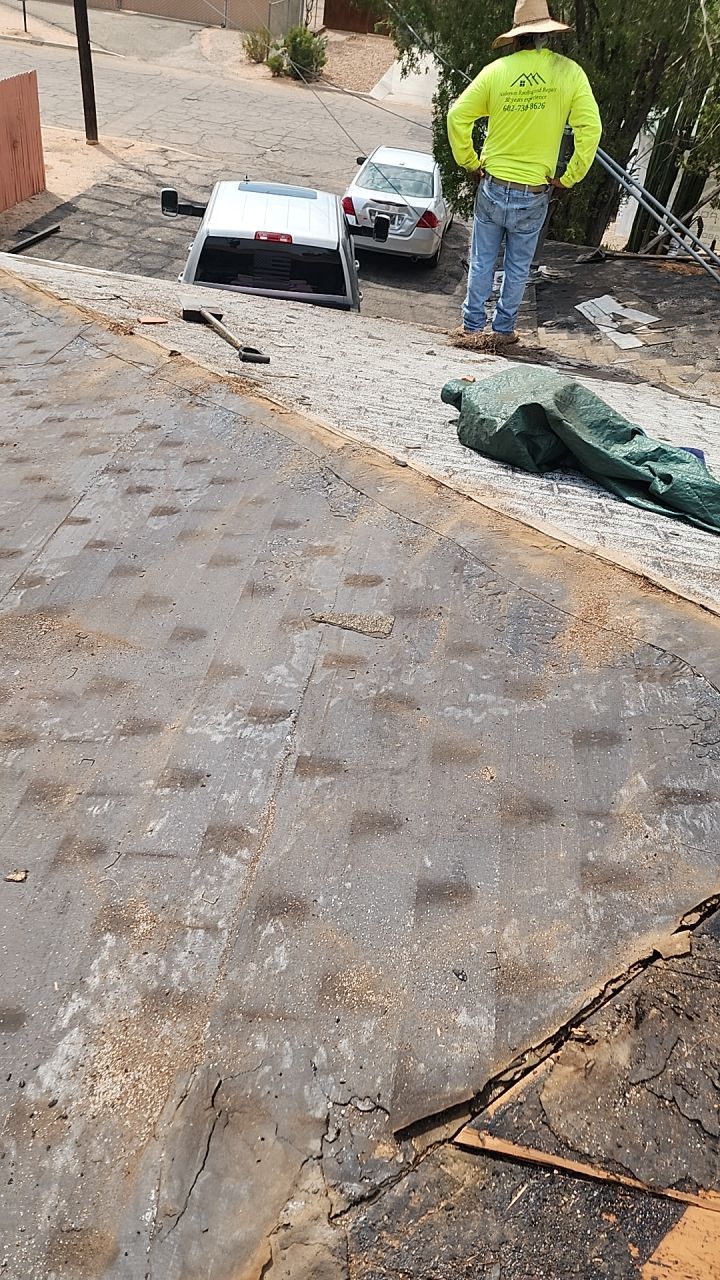 Silver Birch Shingles by Reimagine Roofing