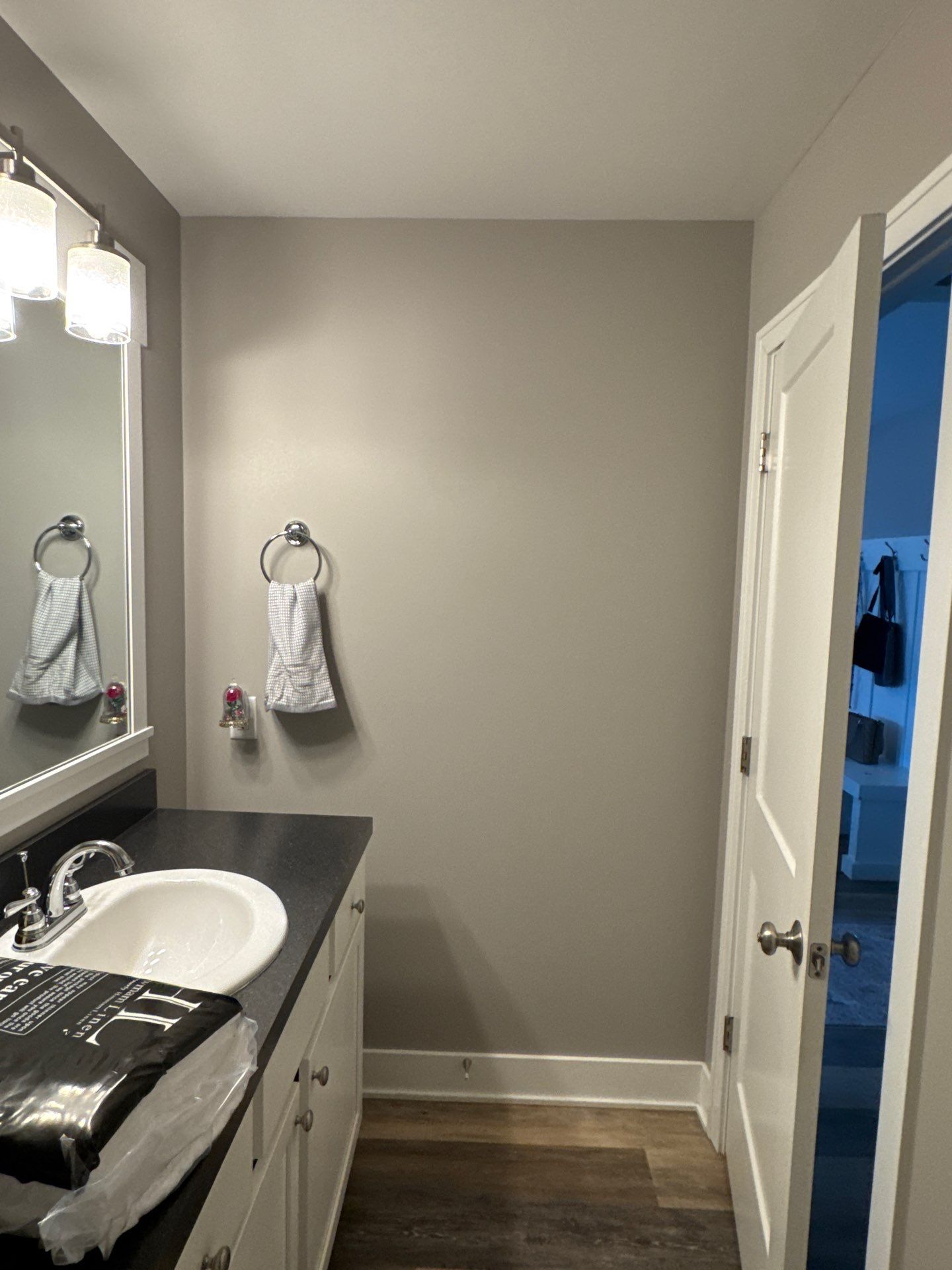 Interior Painting and Entry Door Updates in Wyoming by Gordon Painting