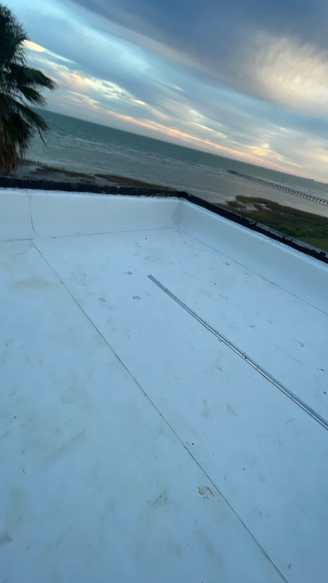 Problems in Paradise  by Bayfront Roofing and Construction