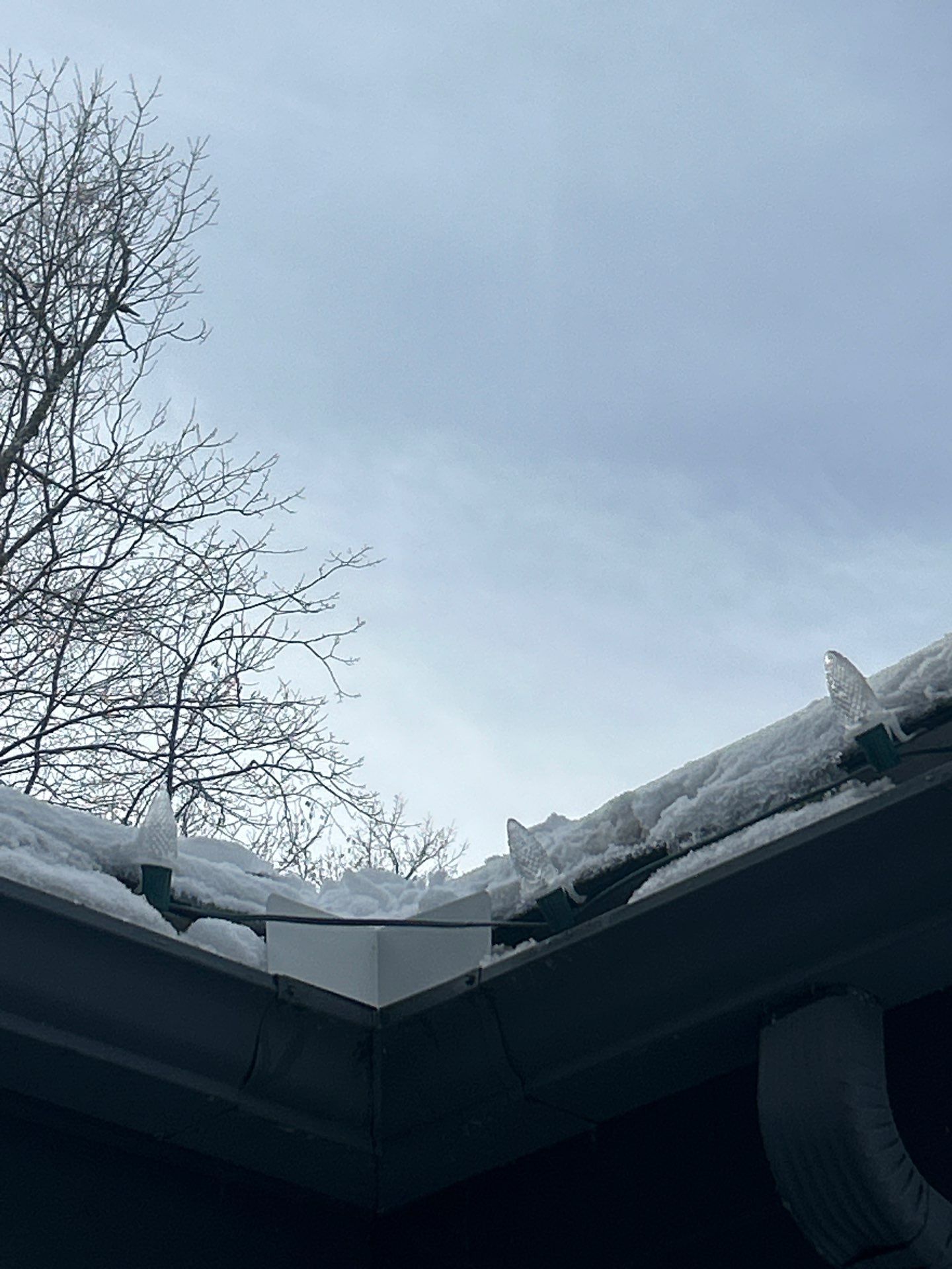 Ridge Vent Replacement & Chimney Re-flashing by Mighty Dog Roofing of Greater Middlesex County