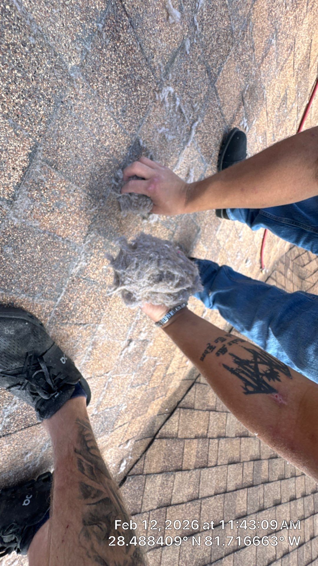 Air Duct Dryer Vent Cleaning in Clermont by Hygienic Air, Inc