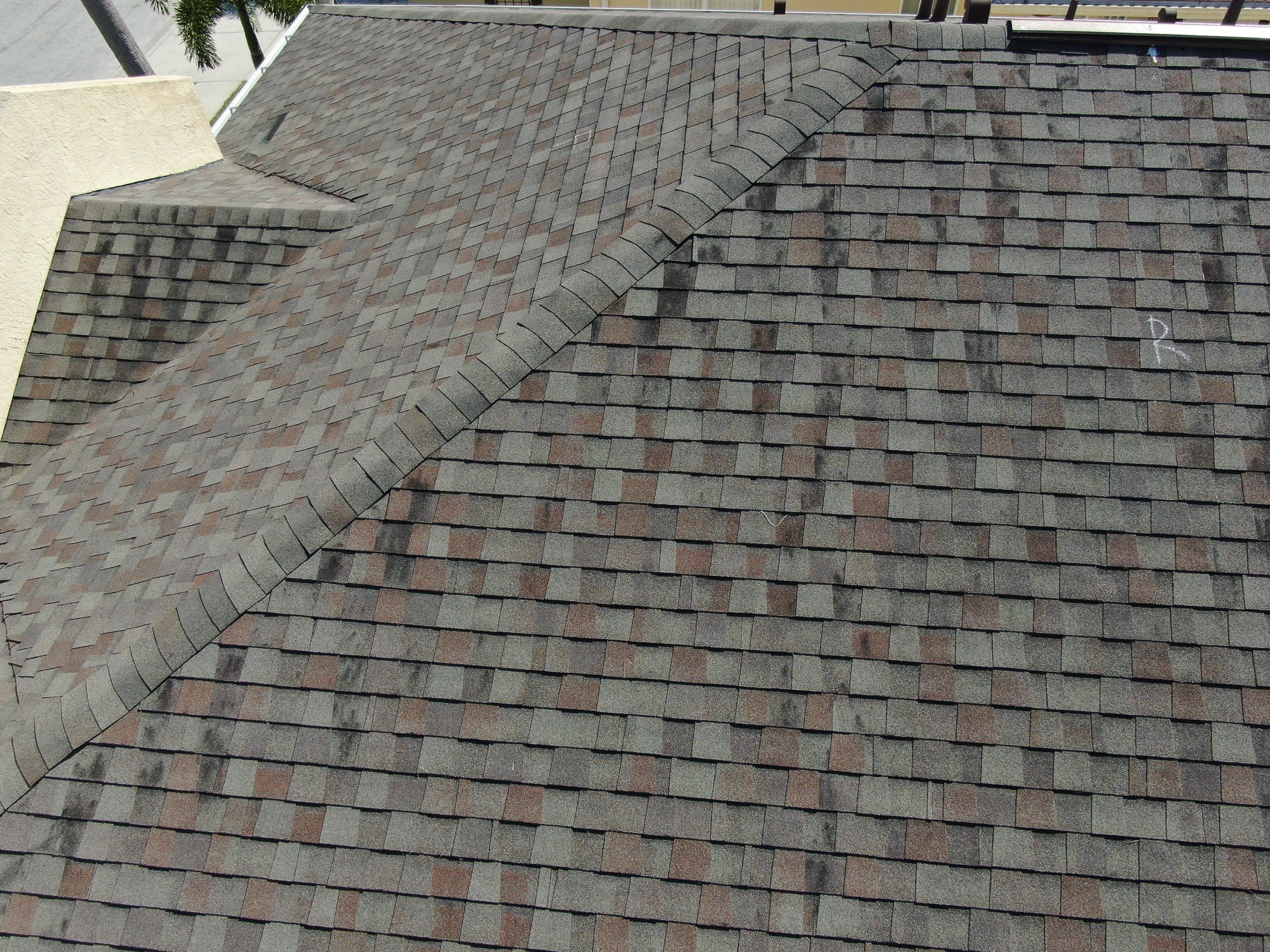 Water Damage Claim in New Port Richey by FLAPA & KeyStone