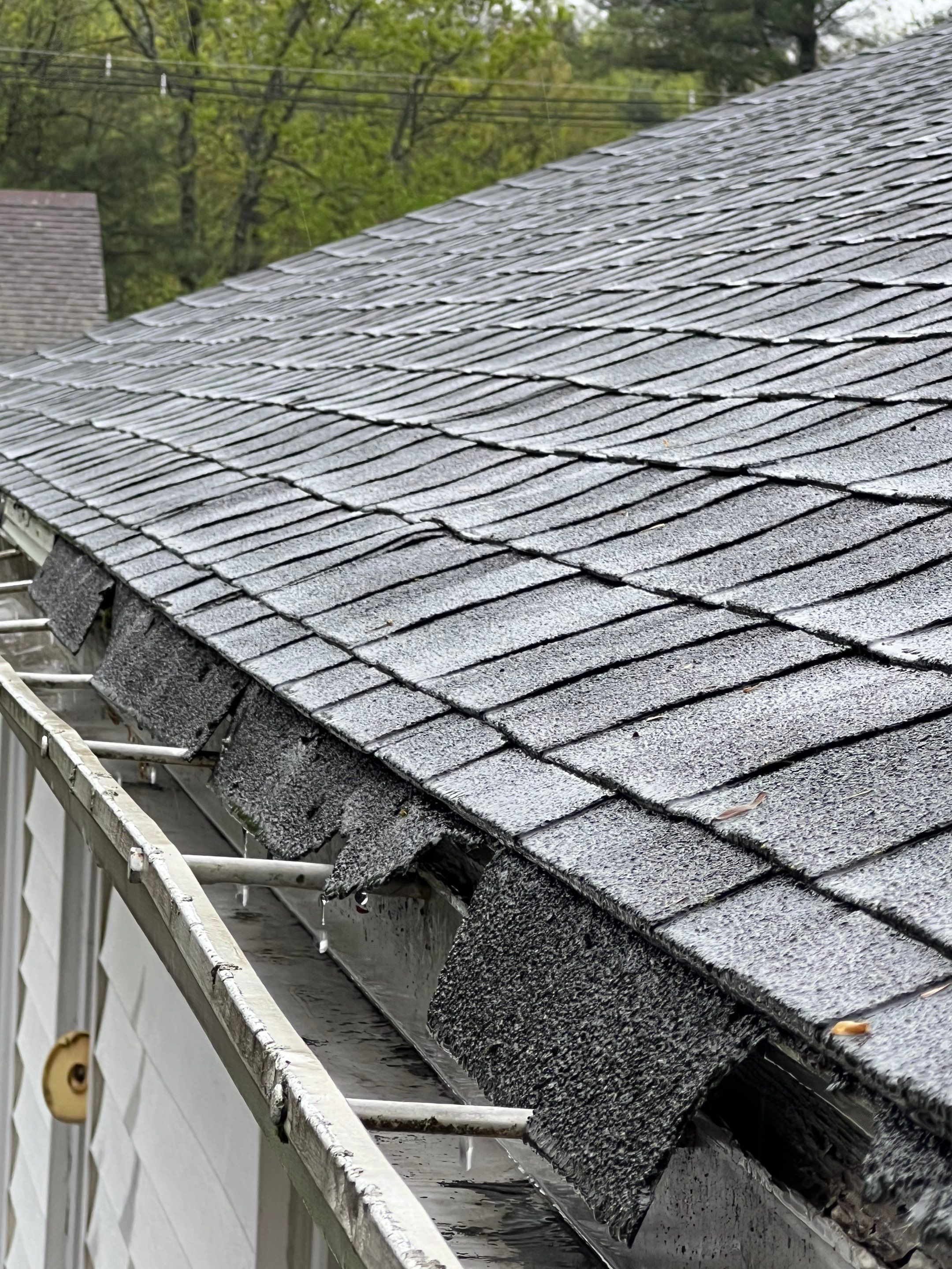 Gutters & Roofing | Acton by Mighty Dog Roofing of Greater Middlesex County