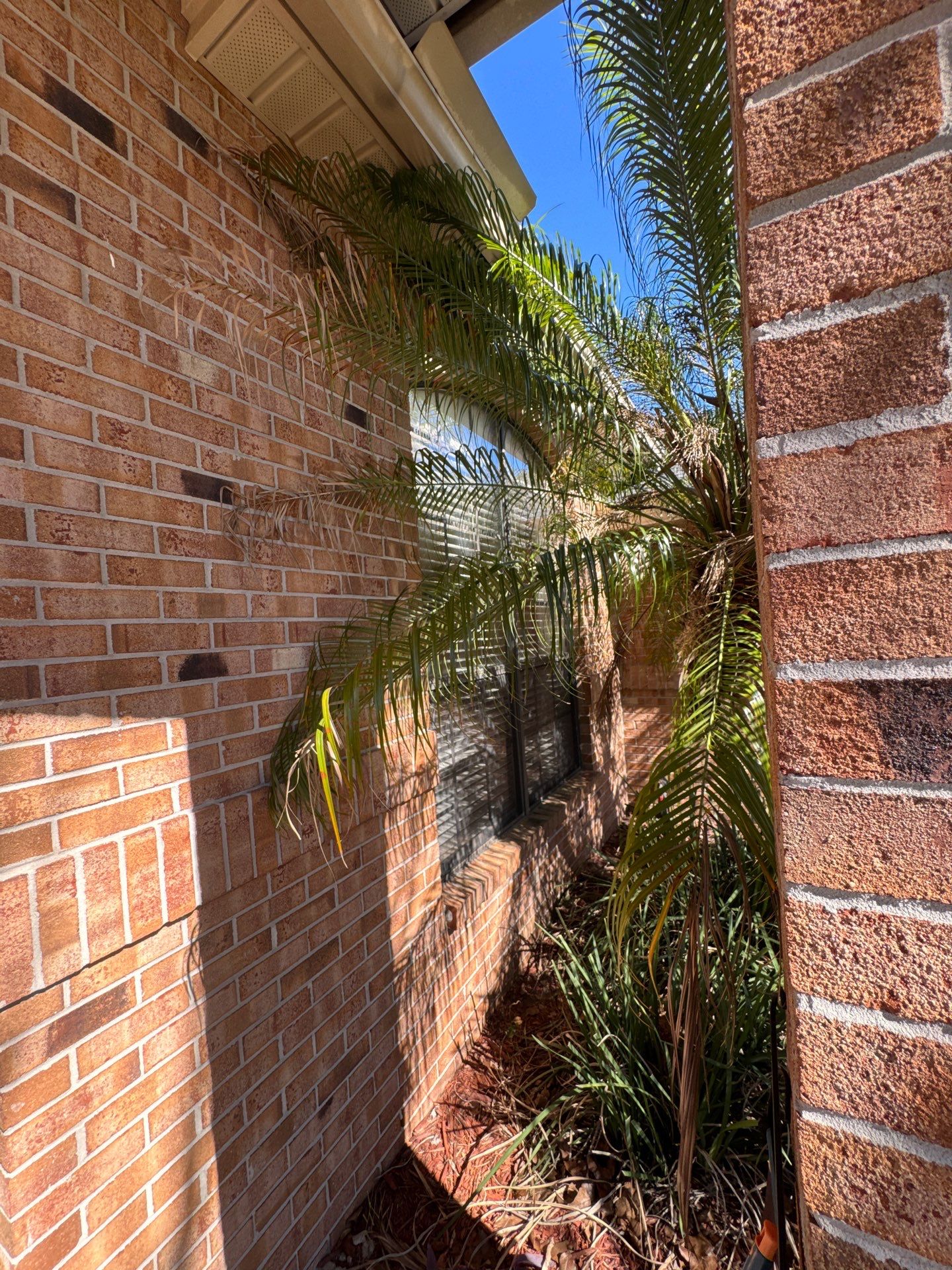 Full Home Andersen Window Replacement for Jacksonville Residence by Windows & Doors Store