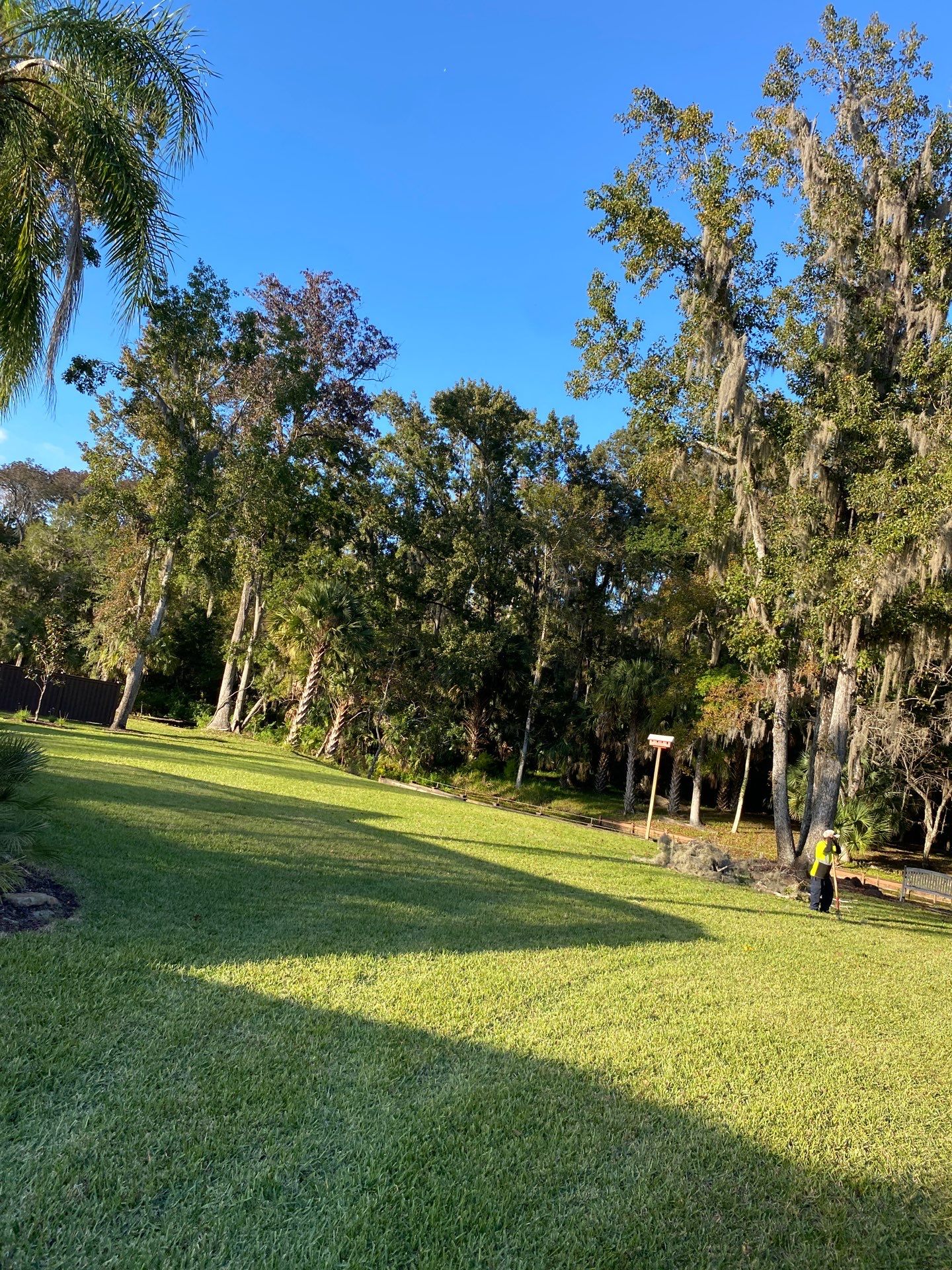 Deerwood Resident | Tree Removal & Stump Grinding by ProGreen Services