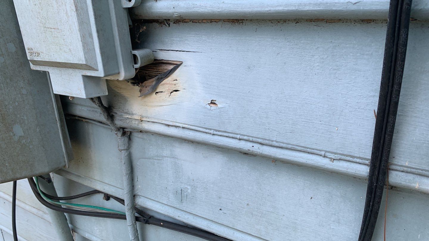 Repair Exterior Damage by TruBlue Home Service Ally