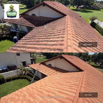 Tile Roof Cleaning in Orlando
