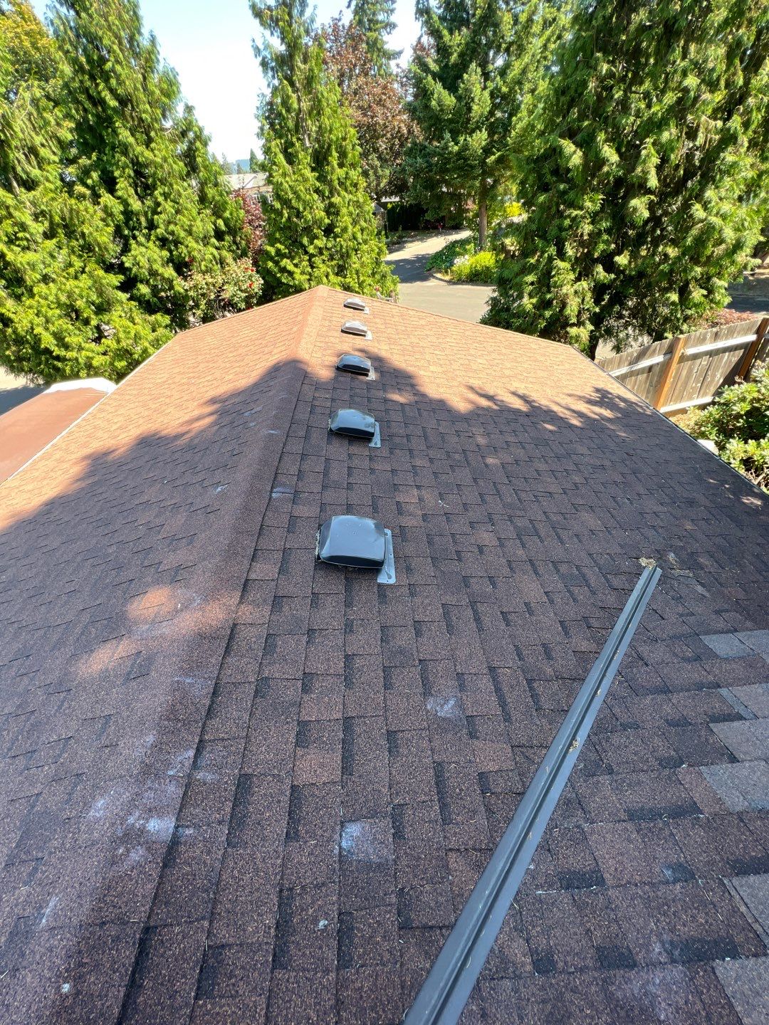 Desert Tan Shingles by Reimagine Roofing
