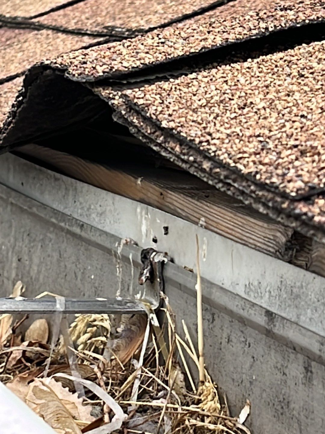 Roof Replacement by G2