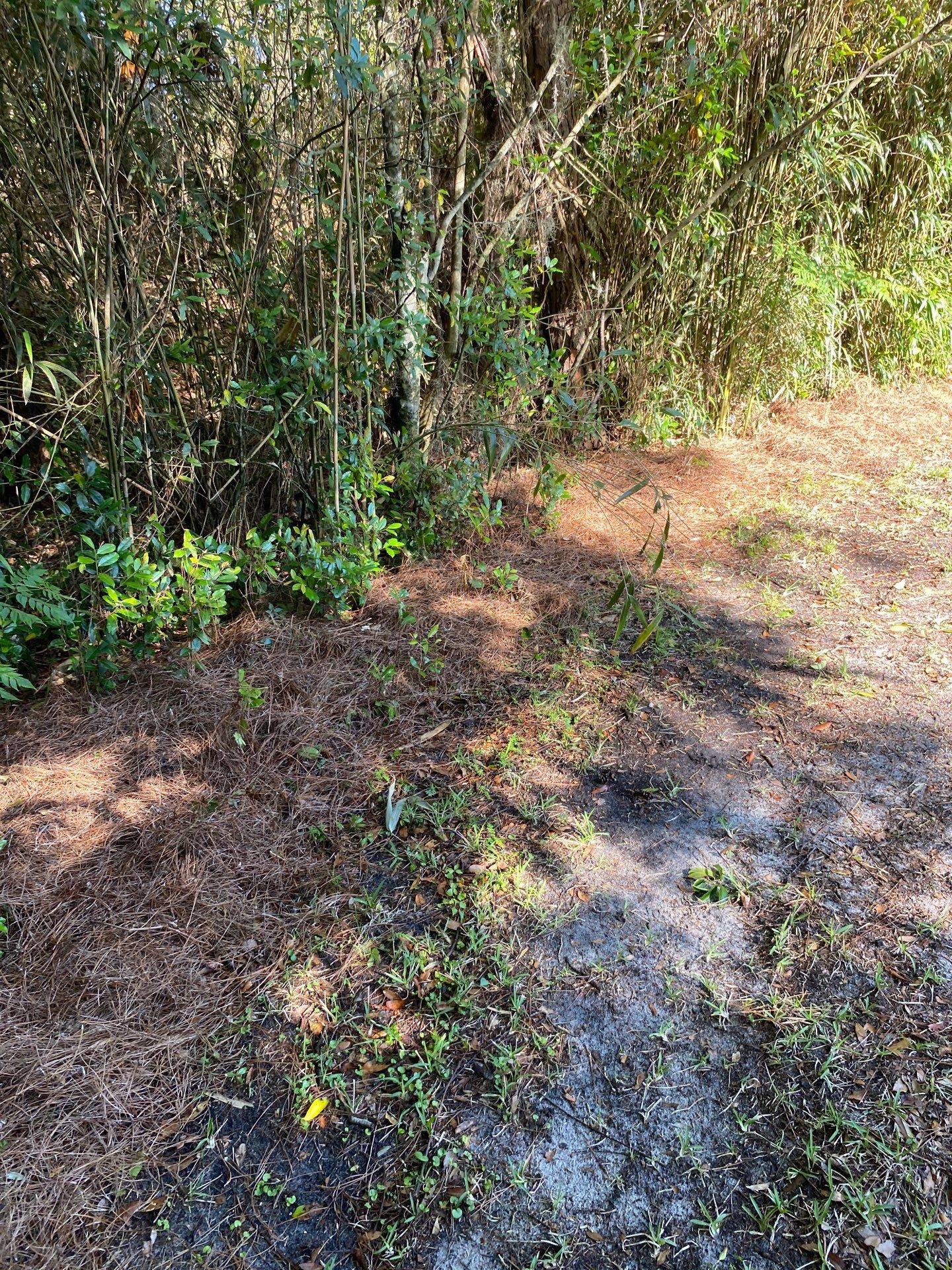 Deerwood Resident | Pine Straw & Topsoil Install by ProGreen Services