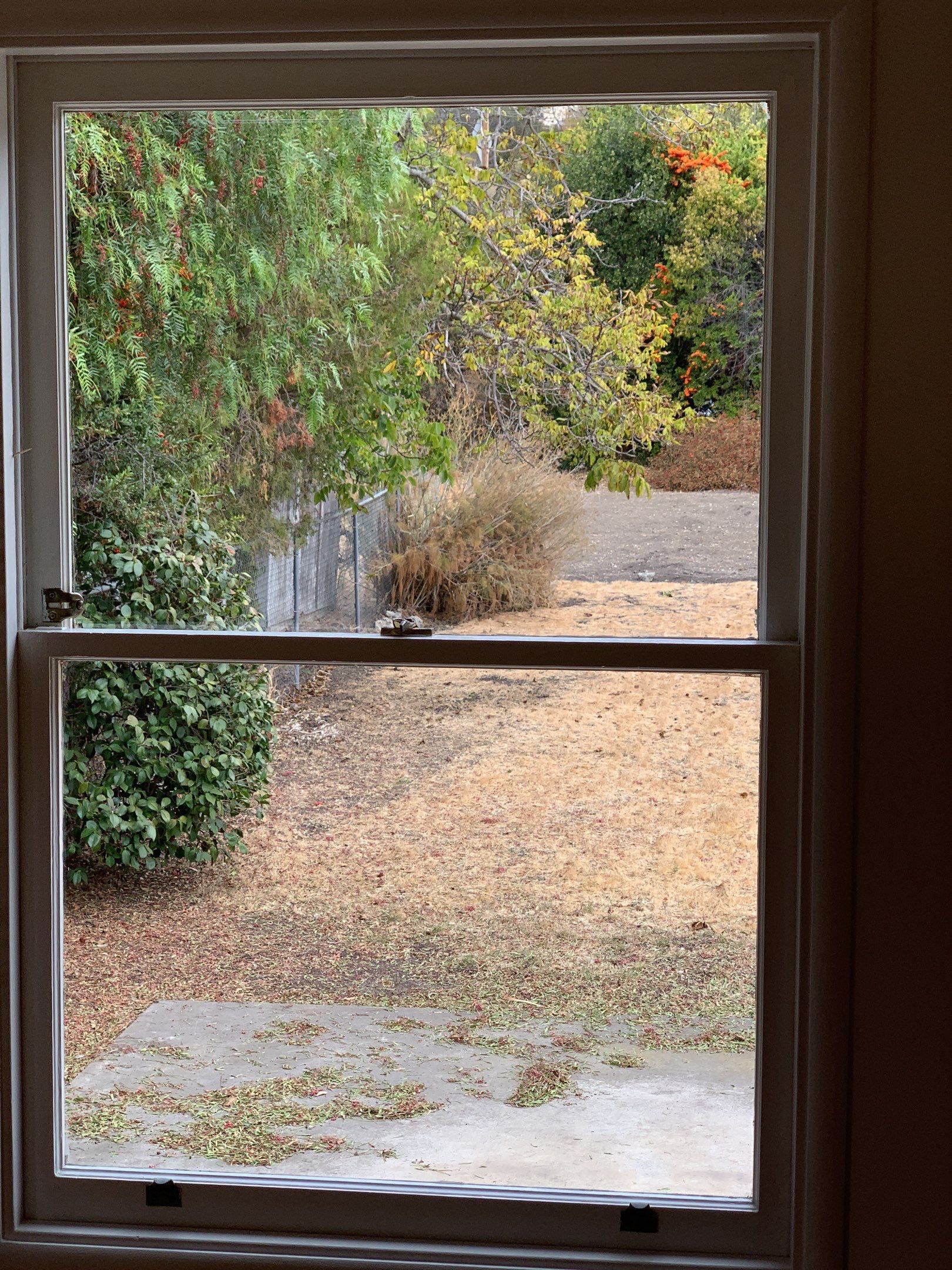 Window Clean for Tracy McKendell Realty by SpotFree Window Cleaning