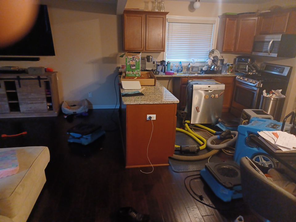 Project in Sterling Heights by EzDry Water Mitigation & Property Restoration