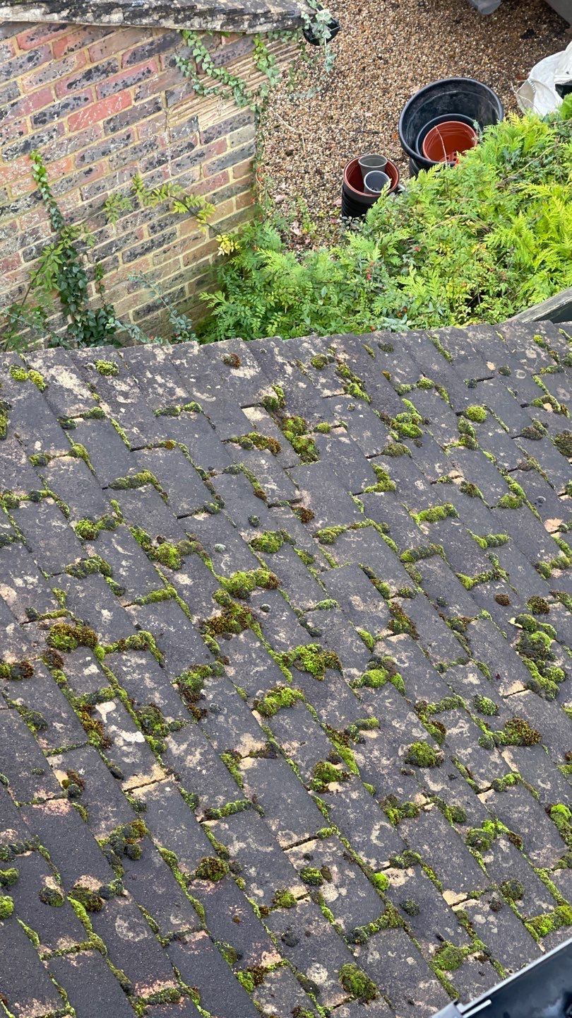 Roof Clean - Biocide Treatment using Honda 15lpm Low Pressure Washing Machine by Ges Exterior Cleaning ltd