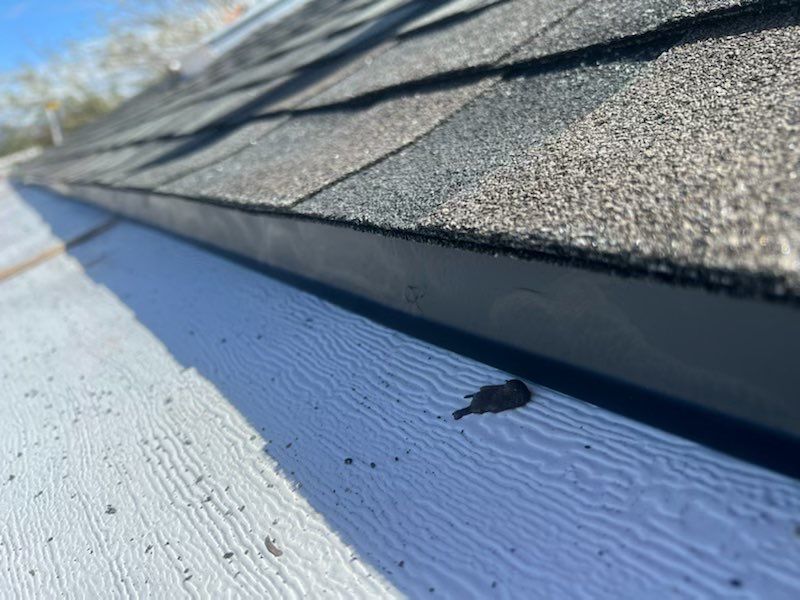 Jackie's Full Re-Roof by All Storm Roofing & Construction