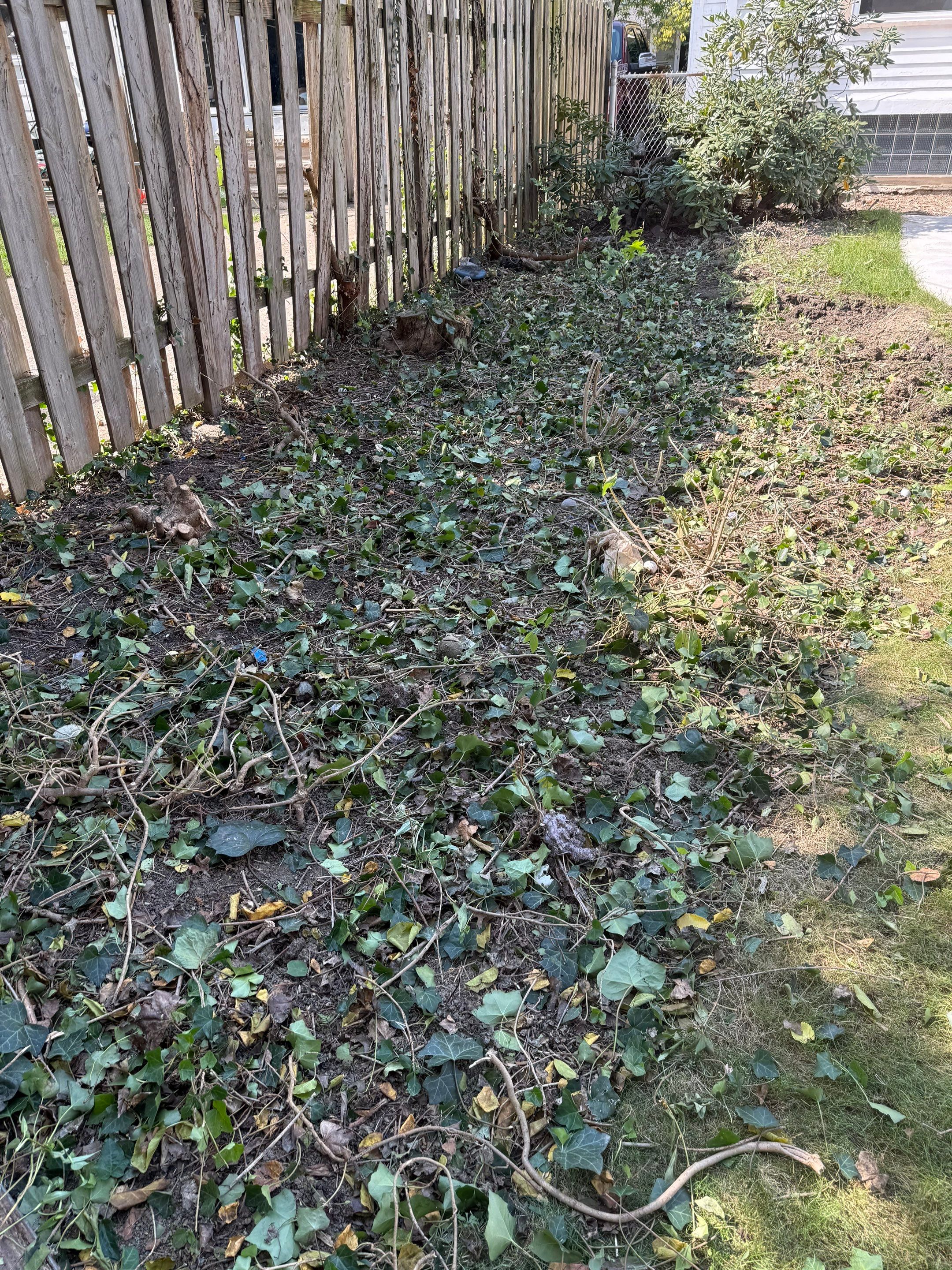 Green Fenceline Install by Elm Rose Gardens