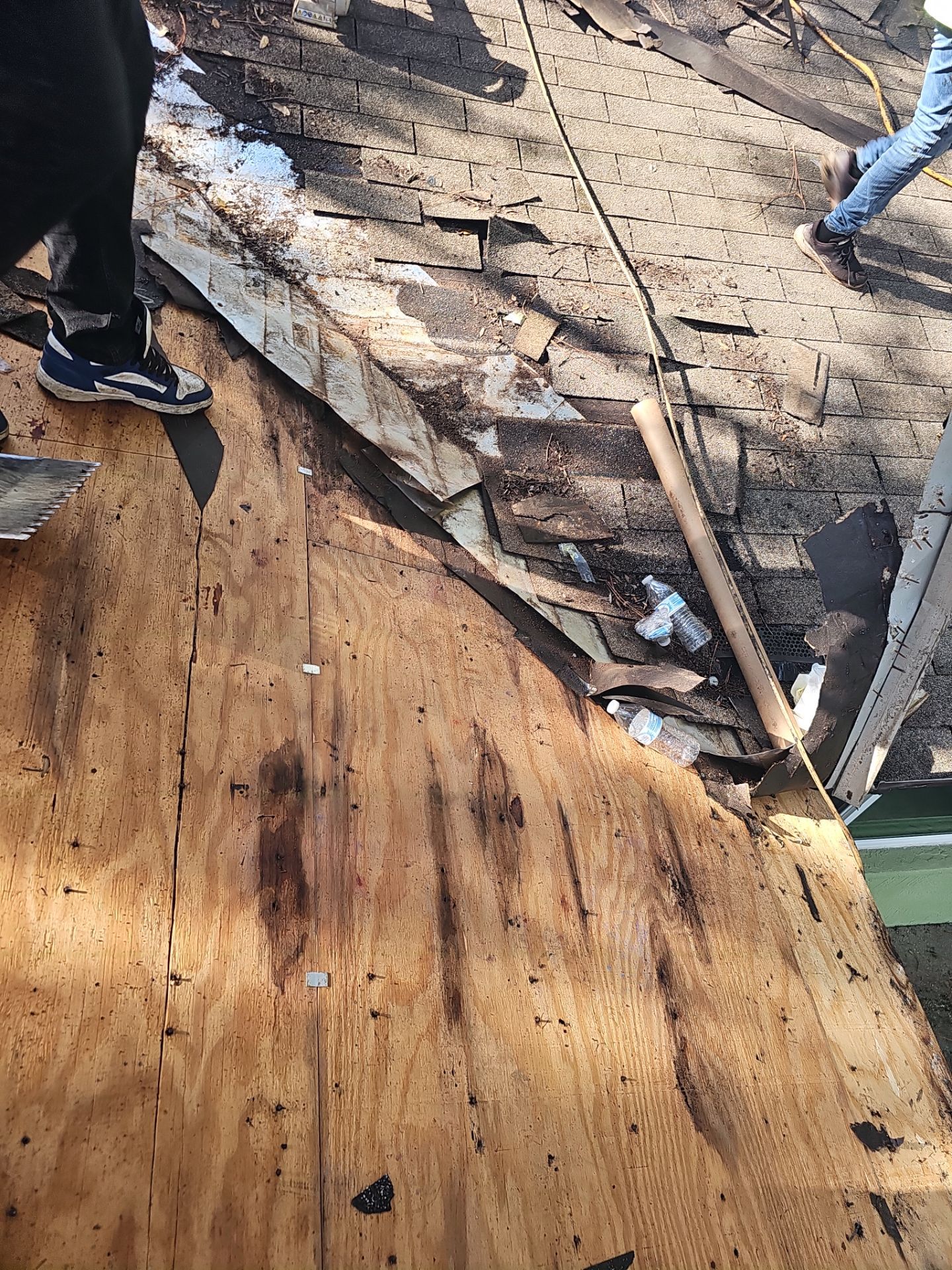 Project in Pinellas Park 33781 by Mitchell Roofing Company LLC