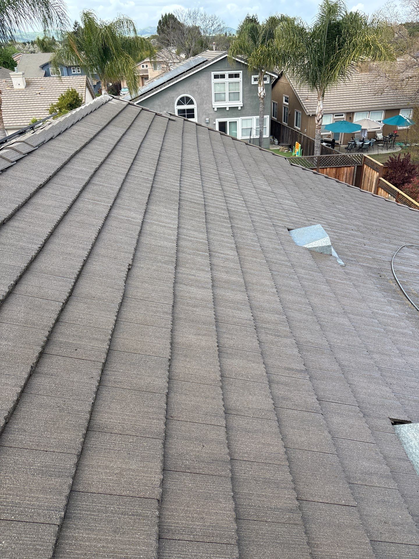 Moss Removal by Top Elevation