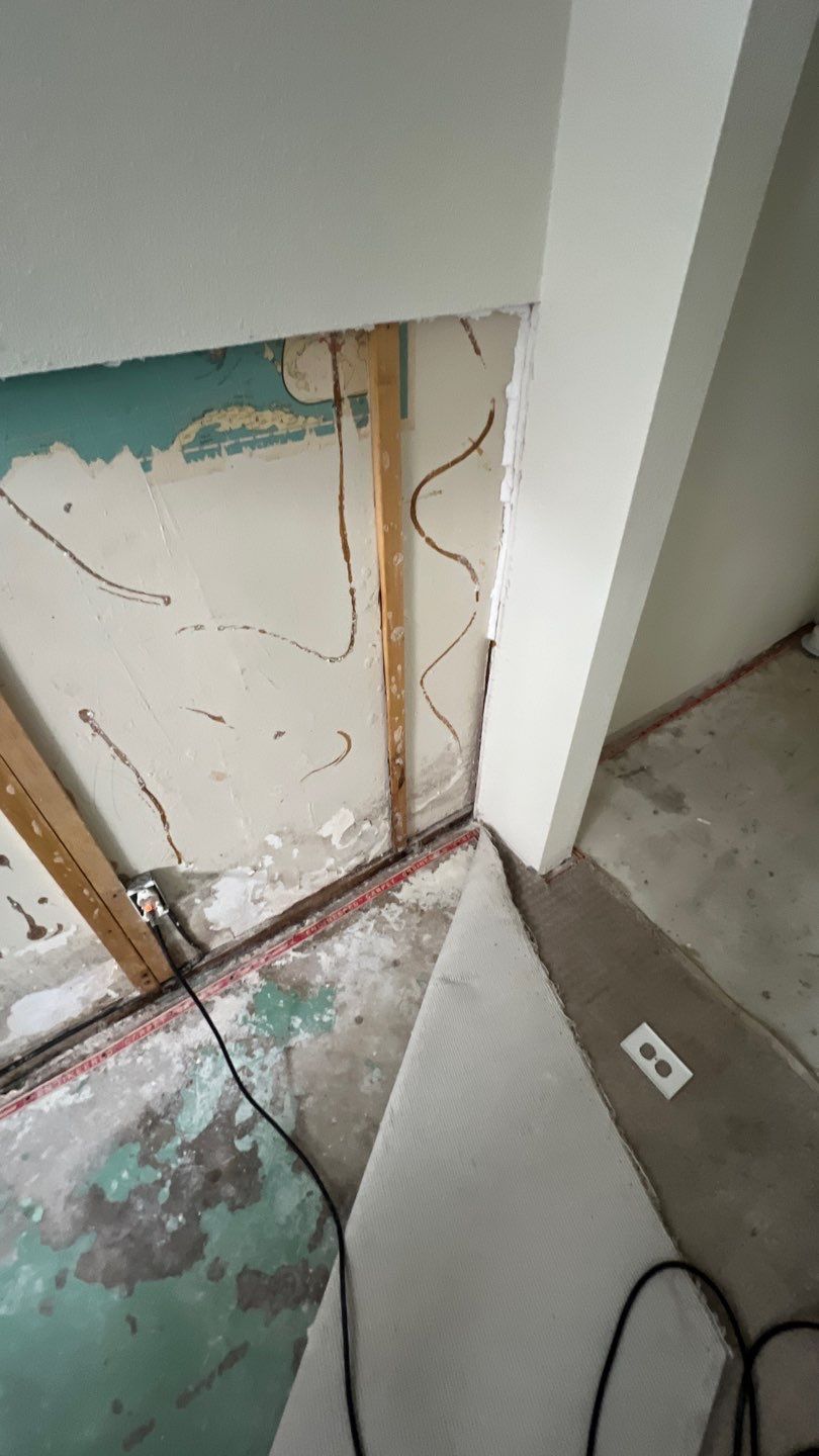 Mold Remediation by Accountable Home Services