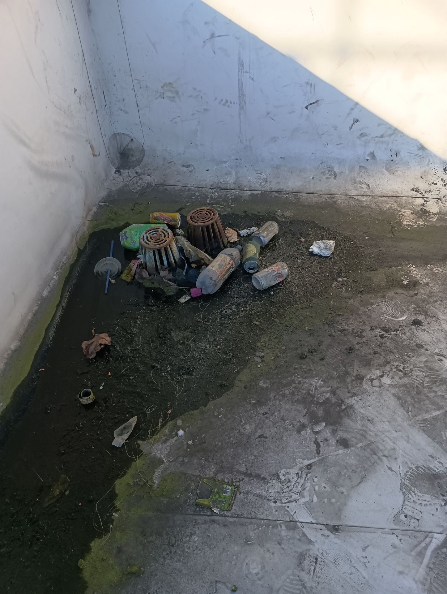 HOA gutter cleaning before photo.