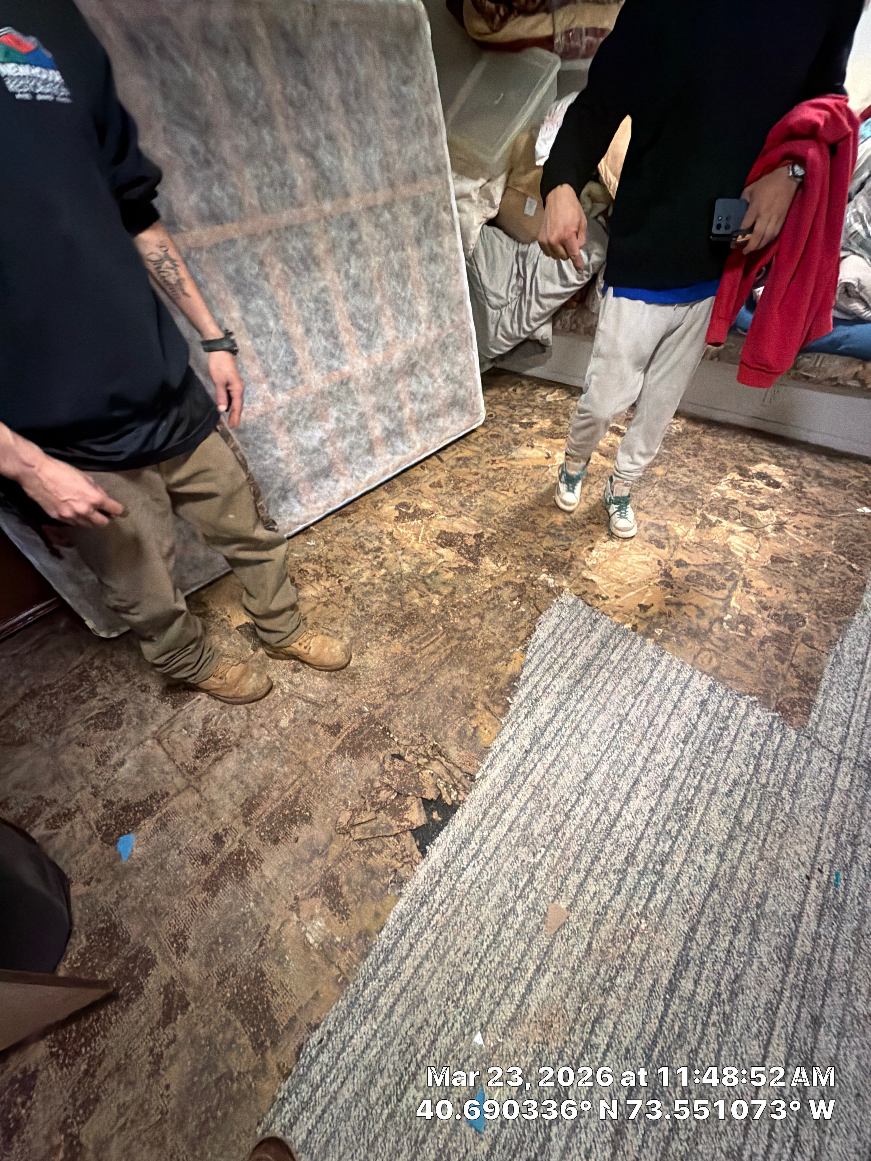 Water Damage Merrick by Newhouse Restoration