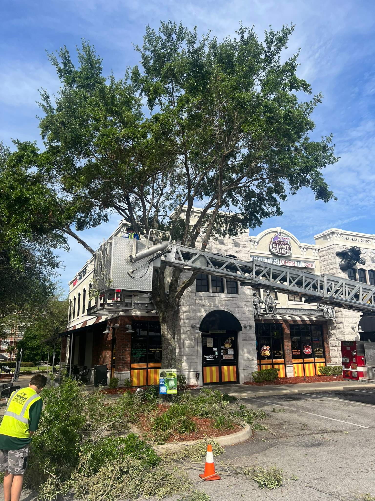 Tree Trimming | Larry's Giant Subs by ProGreen Services