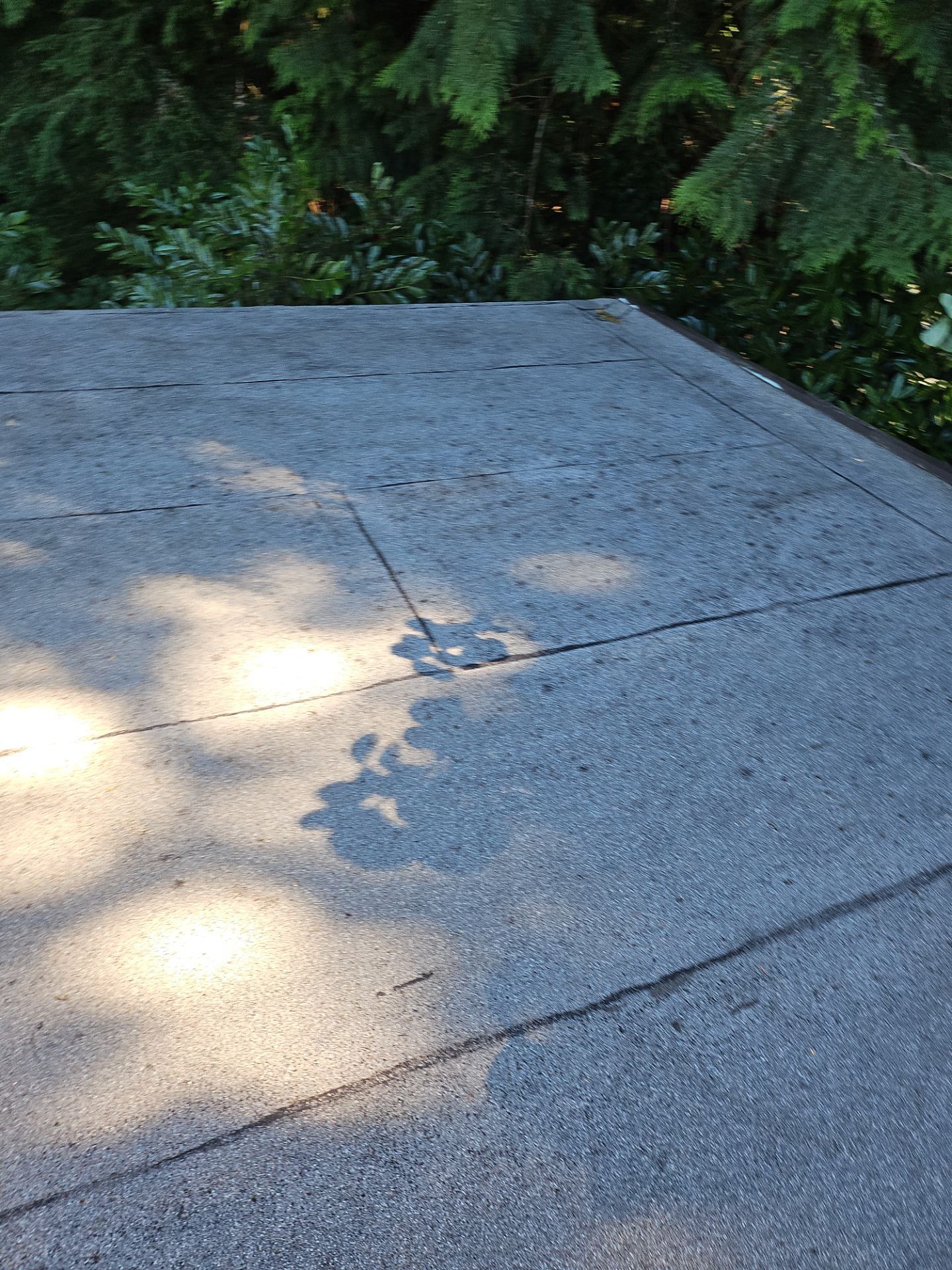 Project in Seattle by Peaks and Valleys Construction