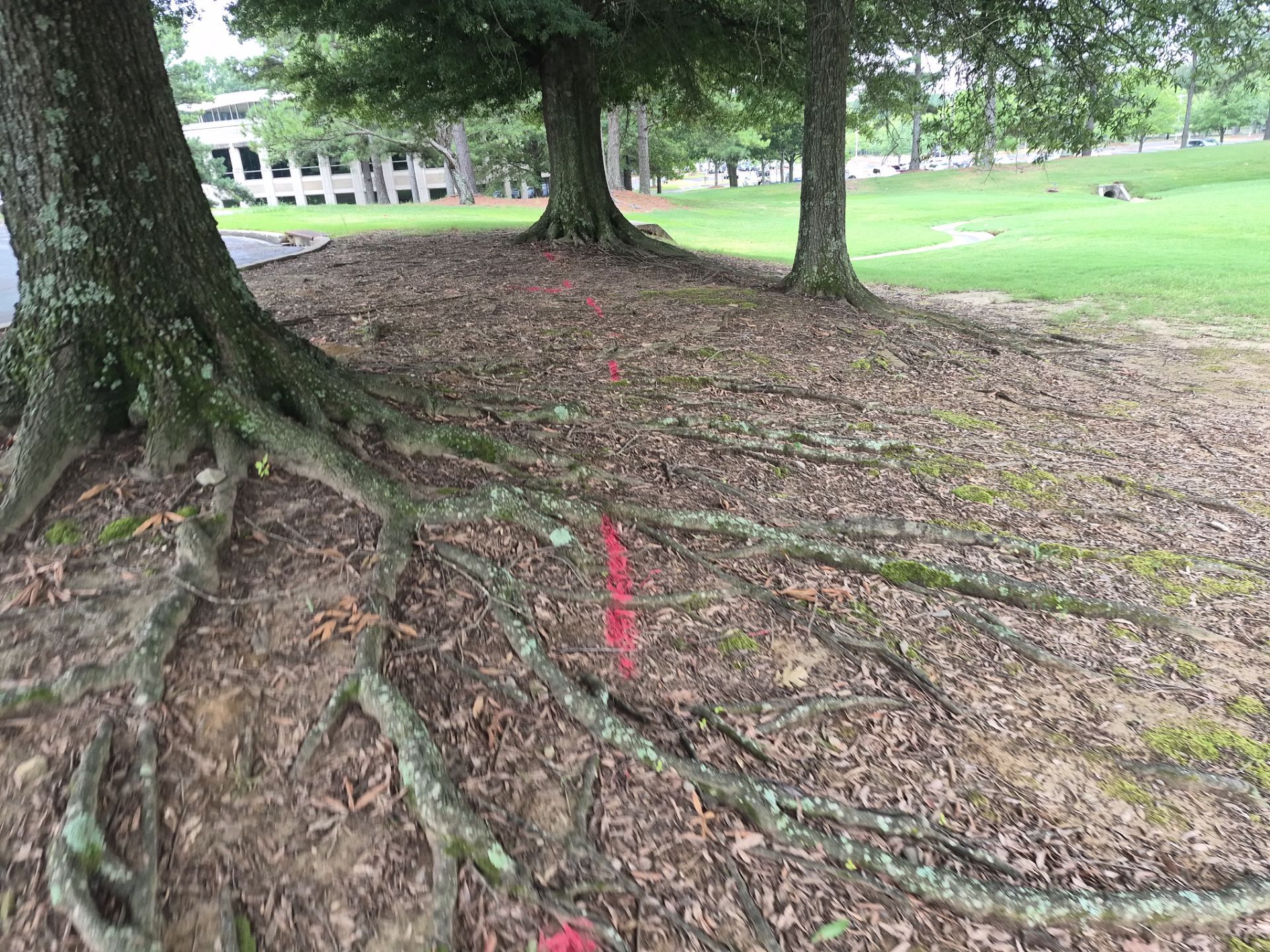 Private Utility Locating and Marking for Collierville Commercial Campus by Alsip Locating Service, LLC