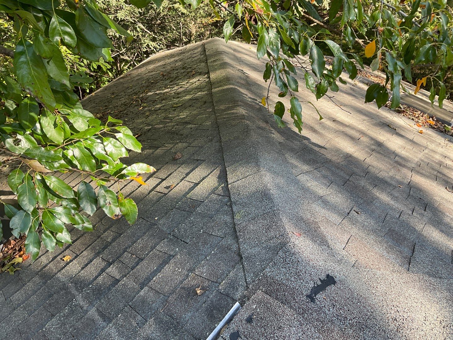 Install new shingles and new skylights  by Alpha Design Services