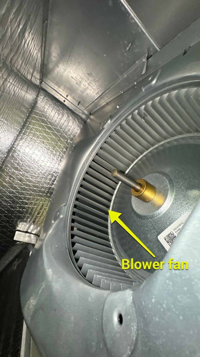 Commercial Air Duct Cleaning in Clermont by Hygienic Air, Inc