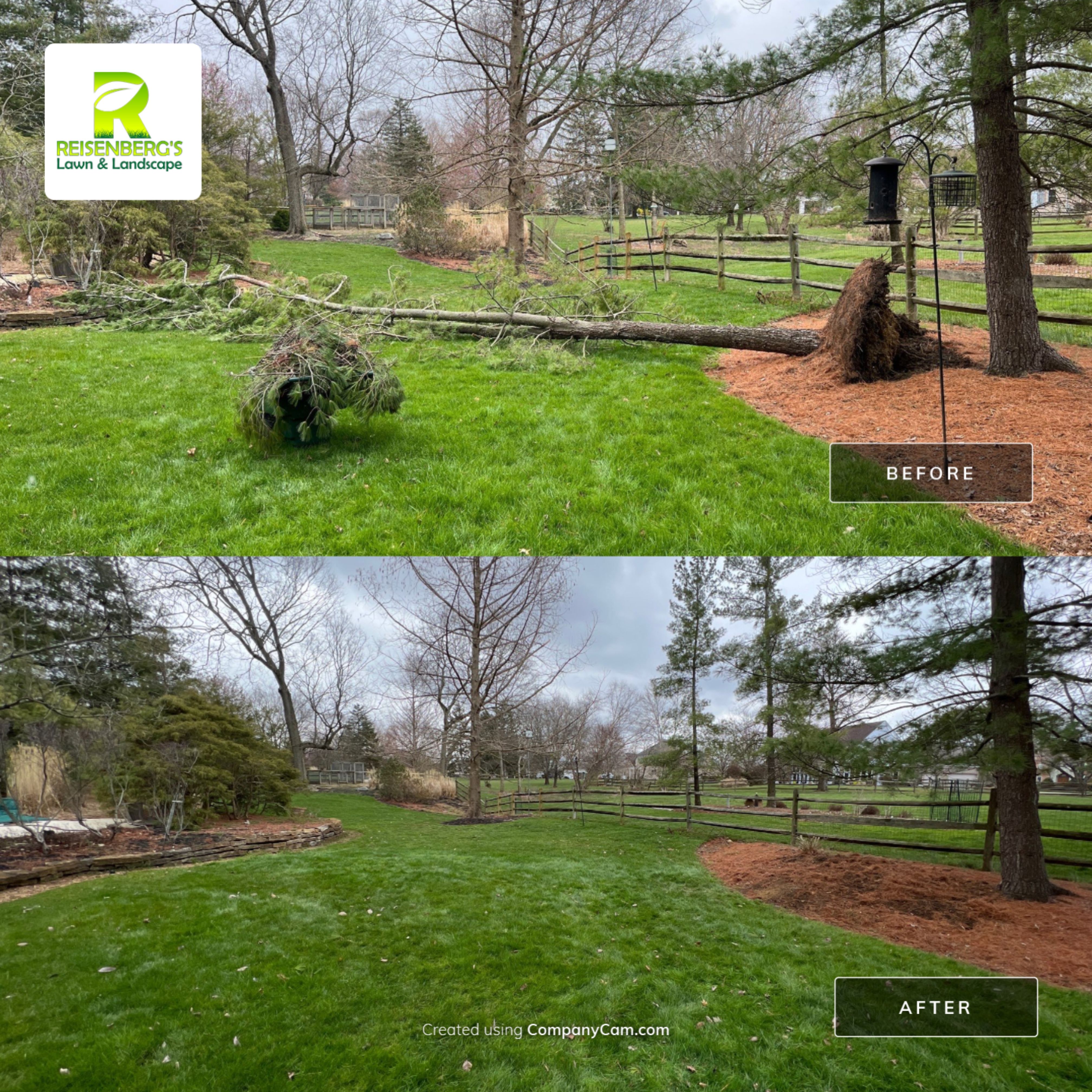 Storm Damage Tree Removal by Reisenberg’s Lawn & Landscape, LLC