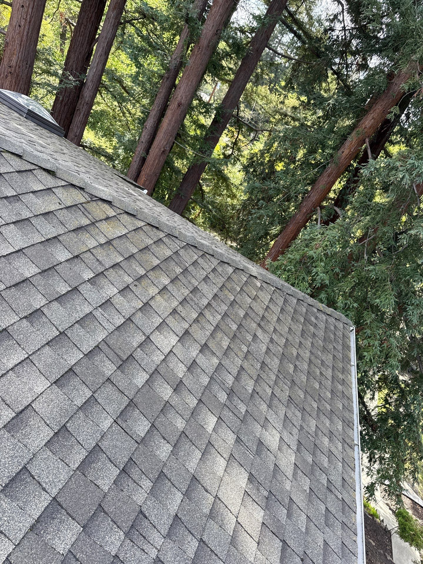Soft Wash by Top Elevation