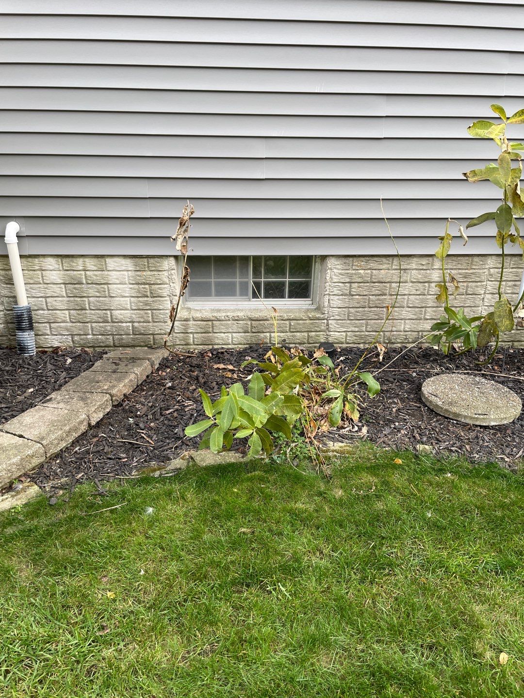 Egress Installation using 30 x 48 egress window by ACE Waterproofing & Basement Solutions