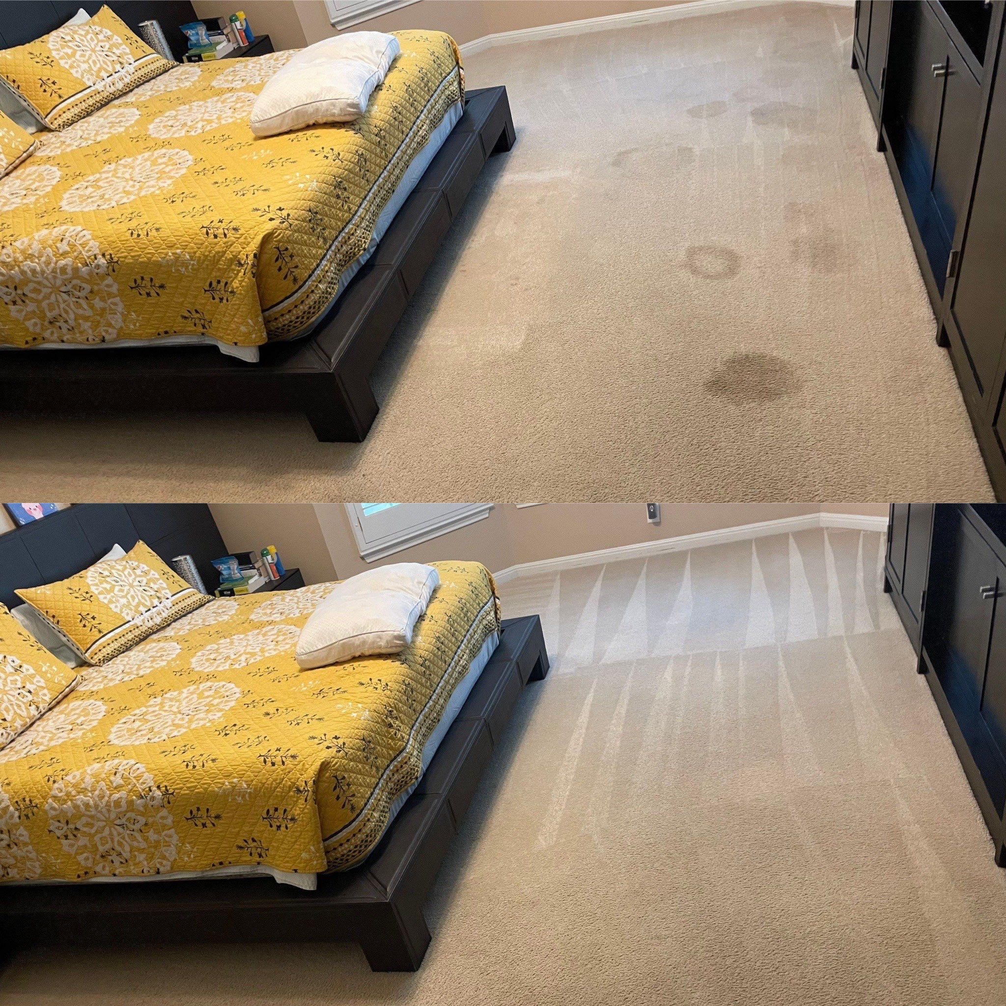 carpet cleaning company is removing stains and dirt from bedroom carpet leaving it clean and refreshed