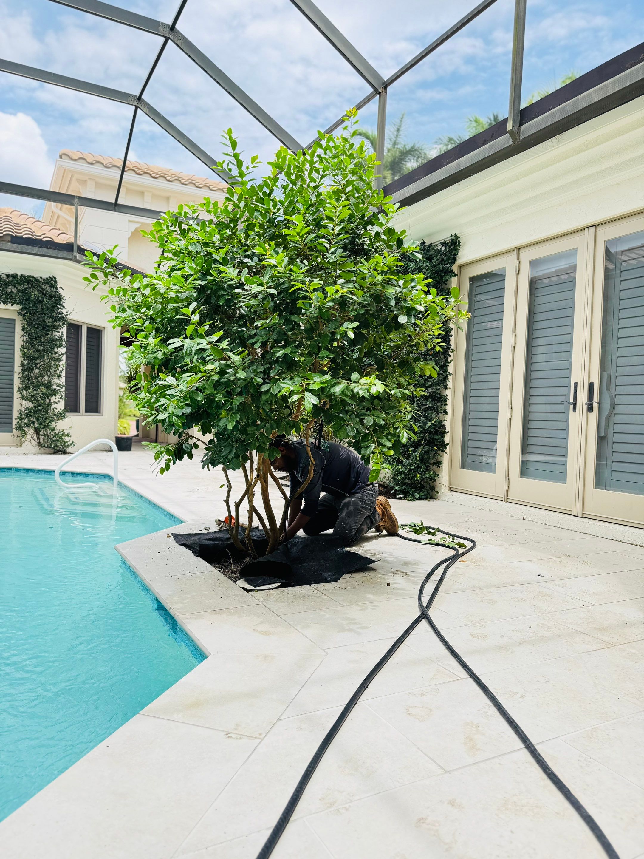 Pool Deck/Landscape/landscape lighting/pool coping/porcelain pavers/Pelican Marsh by Old Town Pavers Llc