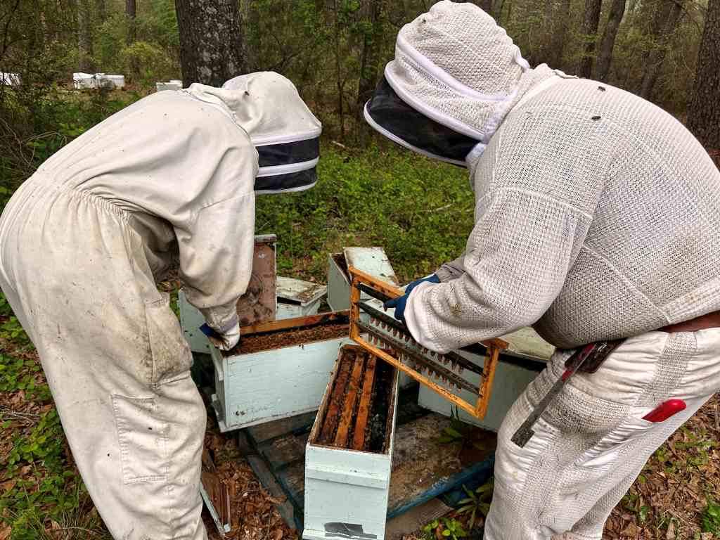 Tree Farm Apiary by Rockwall Honey Bee Company