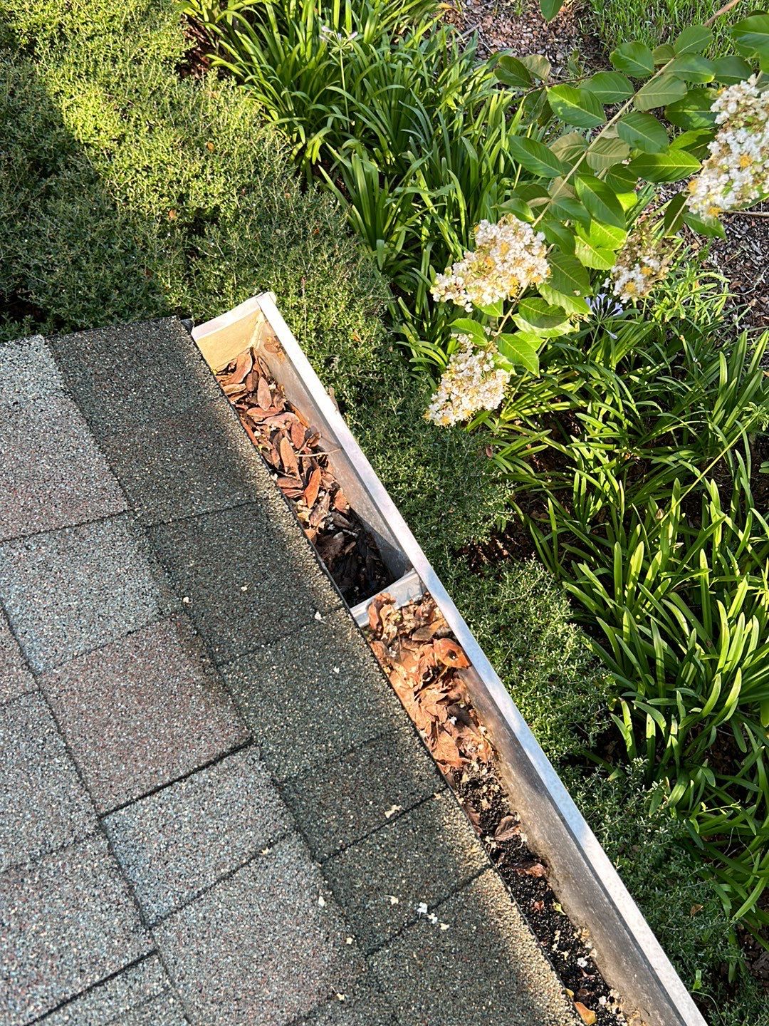 HOA gutter cleaning before photo