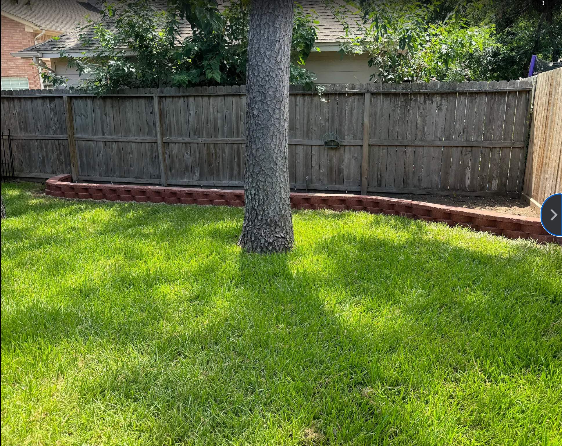 From HOA Headaches to Head-Turning Curb Appeal: Travis's Front Yard Makeover! 🤩 by Texas Urban Elements