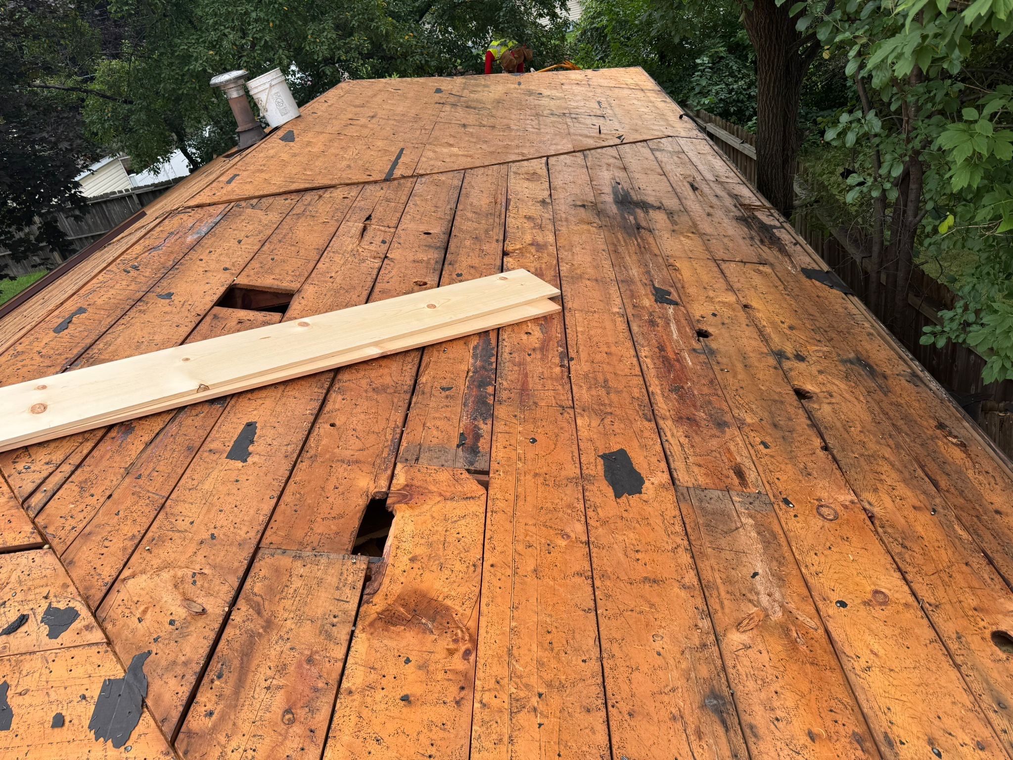 OC Duration Designer AR - Midnight Plum by Forever Fortified