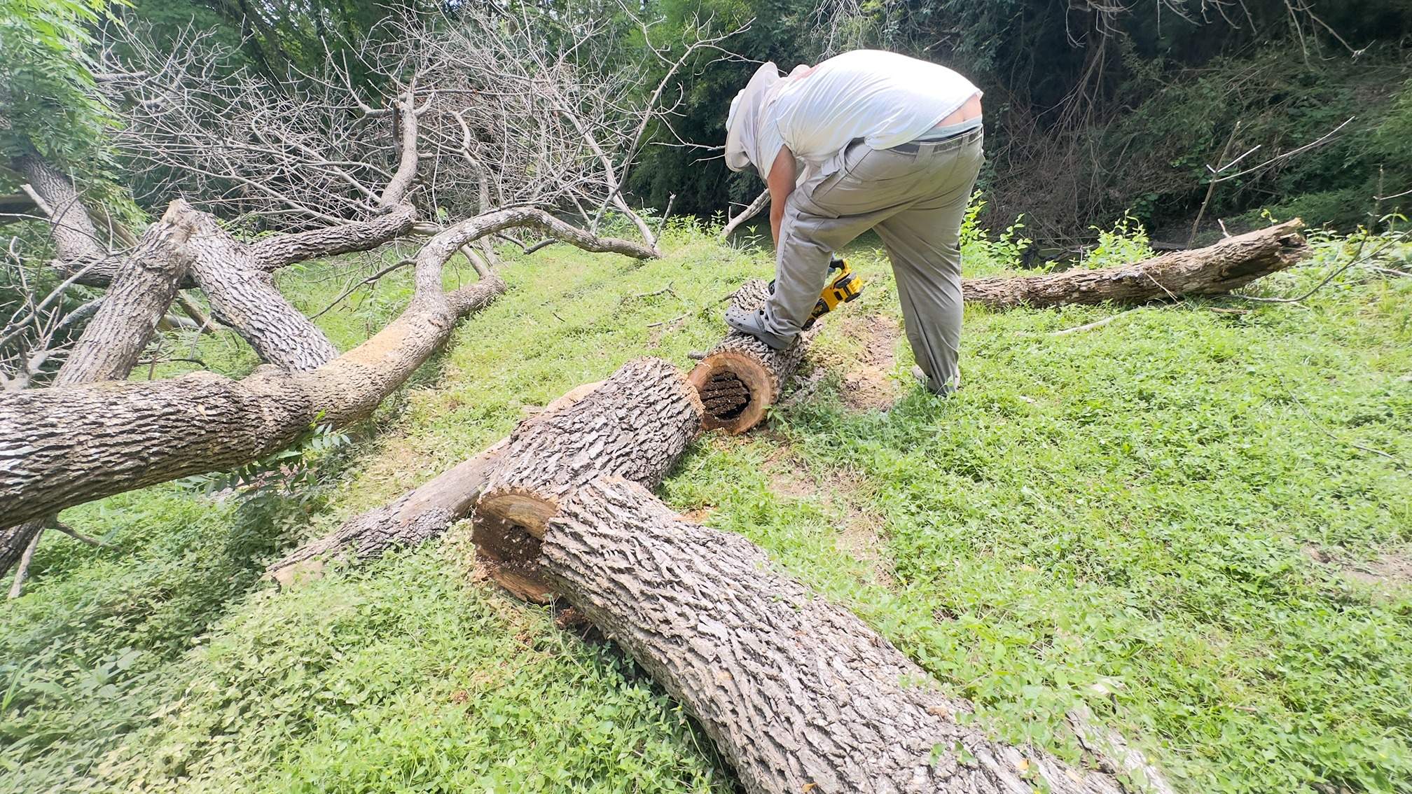 Two Trees One Yard by Rockwall Honey Bee Company