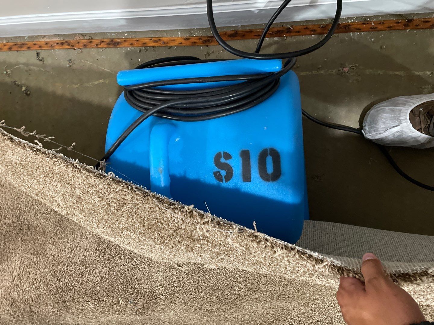 Water Damage  by Accountable Home Services