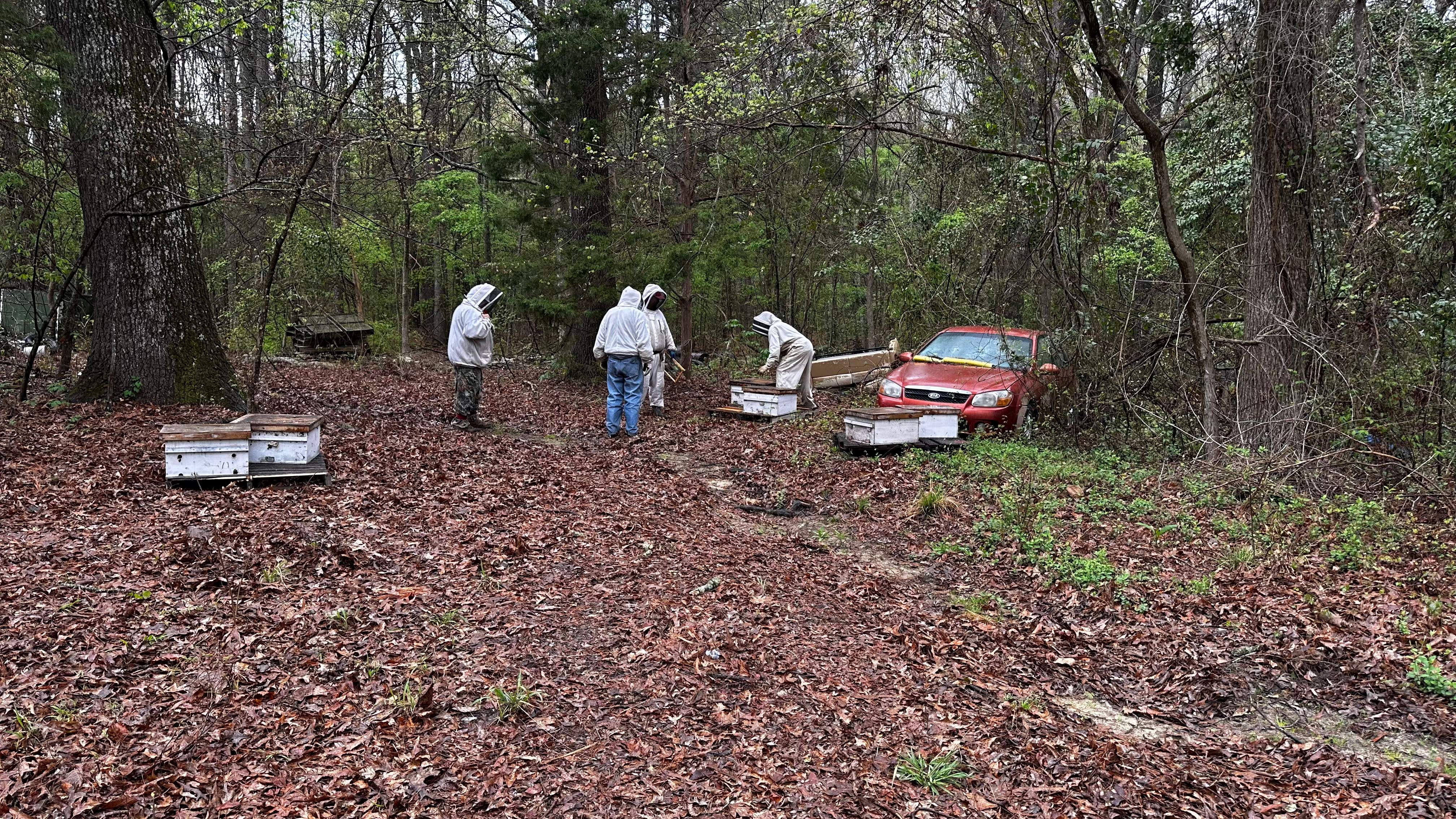 BeeGirl ETX HQ by Rockwall Honey Bee Company