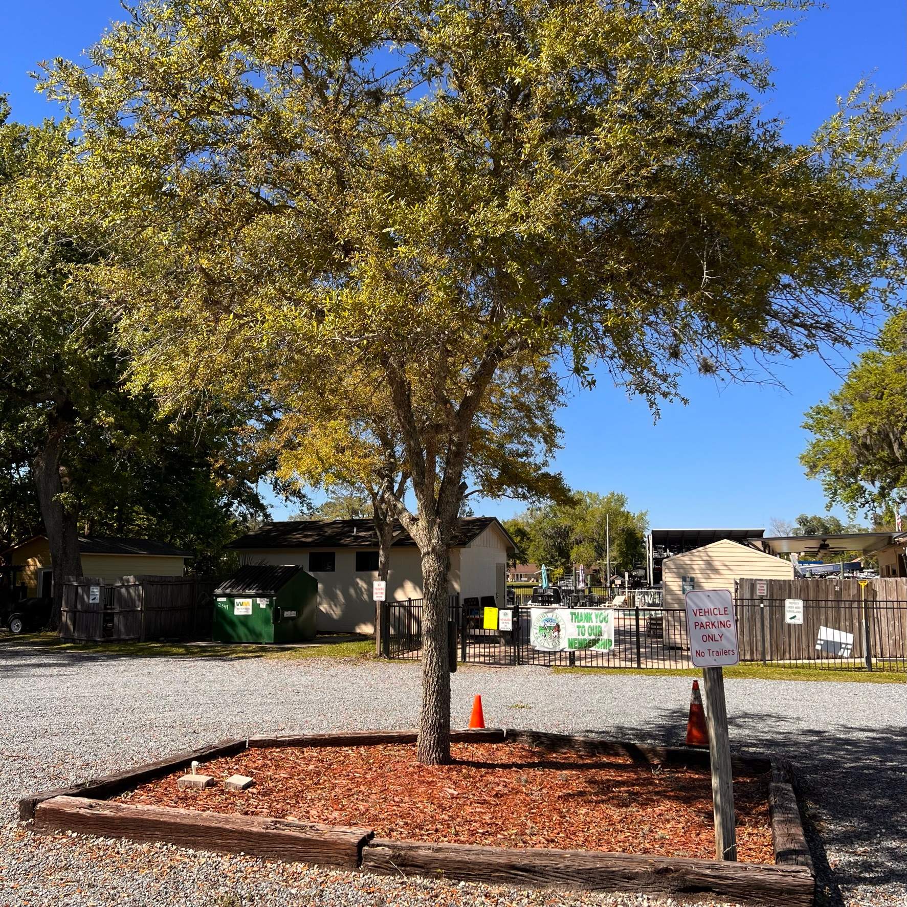 Tree Work | Florida Gun & Tackle by ProGreen Services